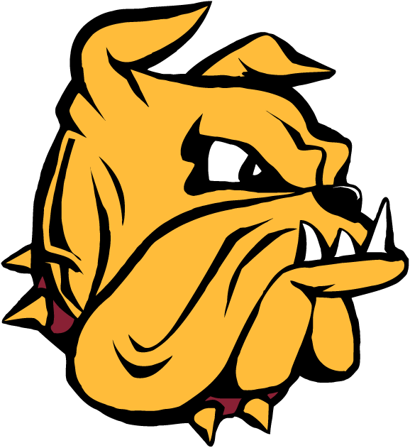 Minnesota-Duluth Bulldogs 1996-Pres Secondary Logo DIY iron on transfer (heat transfer)